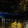 Foret suspendue47565